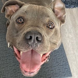 Meet your Posher, Cindy